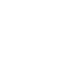 icon-store
